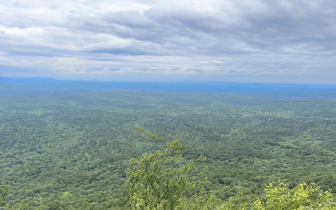 Cheaha Wilderness Backpacking Trip (turned Day Hike)