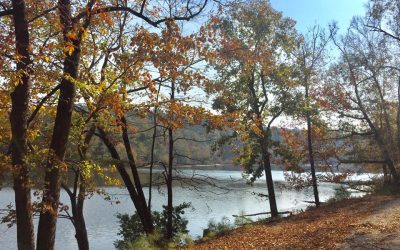 Trail Life and AHG Joint Campout at Paul M. Grist State Park