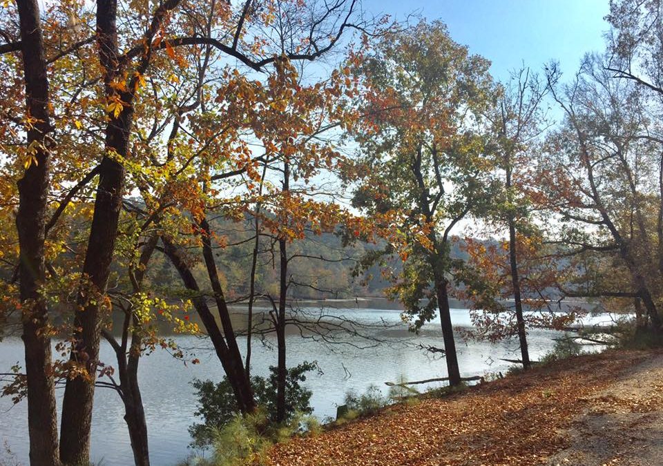 Trail Life and AHG Joint Campout at Paul M. Grist State Park