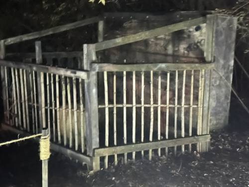 Photo-Dec-01-2023-7-42-31-PM